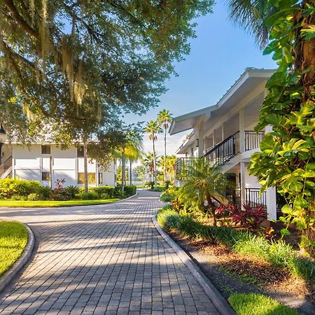 Saddlebrook Golf Resort & Spa Tampa North-Wesley Chapel Eksteriør bilde