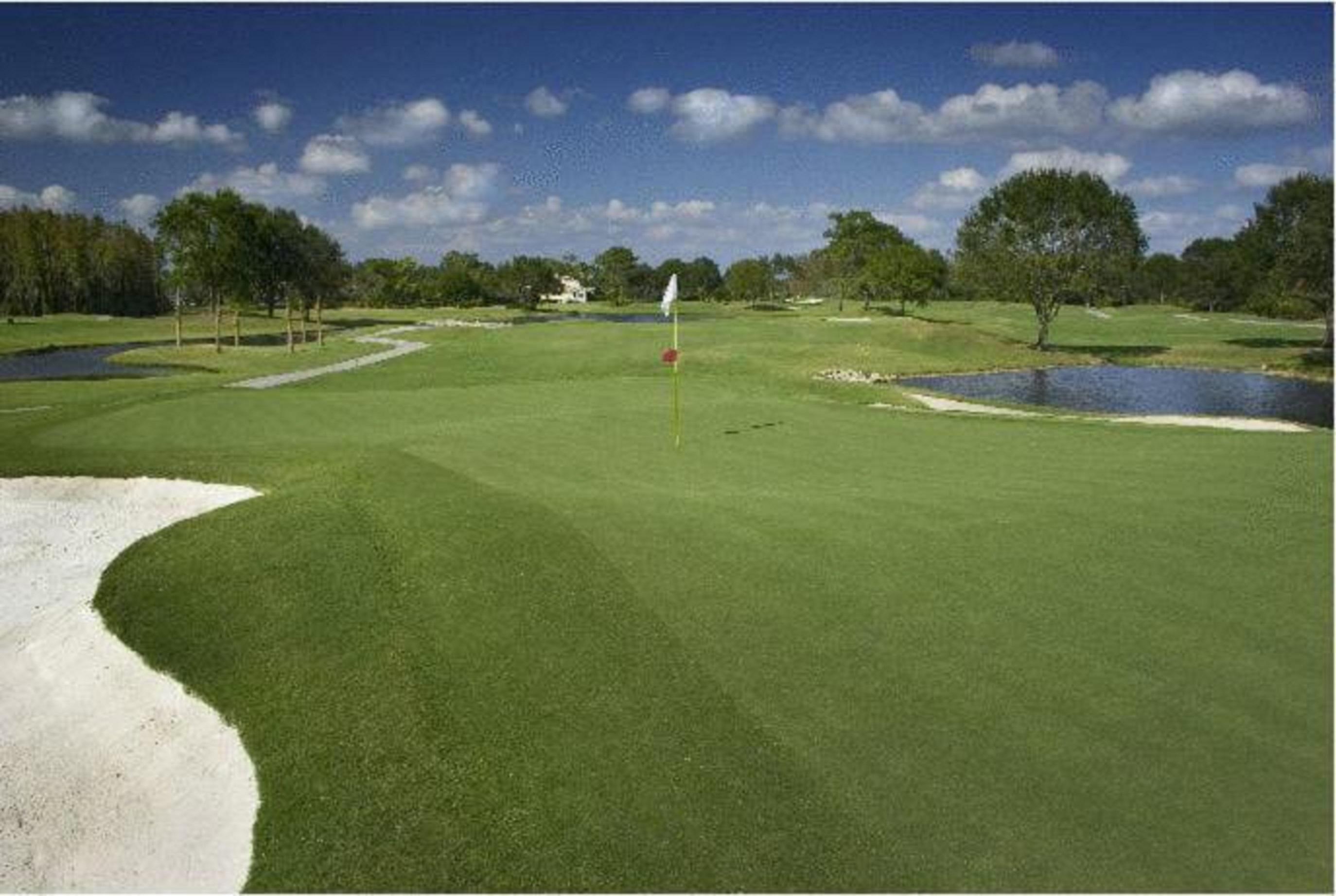 Saddlebrook Golf Resort & Spa Tampa North-Wesley Chapel Eksteriør bilde