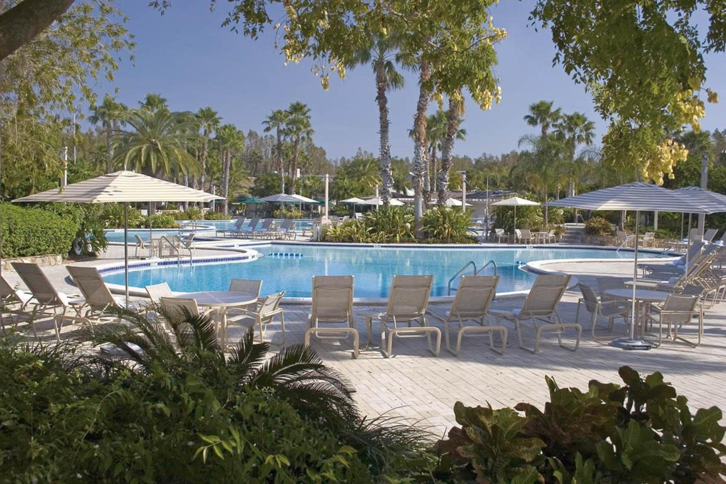 Saddlebrook Golf Resort & Spa Tampa North-Wesley Chapel Eksteriør bilde