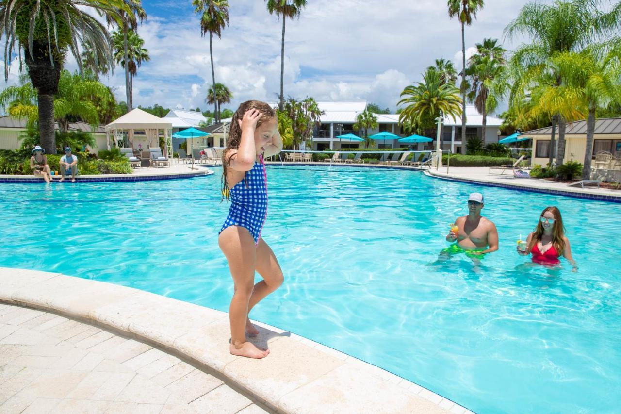 Saddlebrook Golf Resort & Spa Tampa North-Wesley Chapel Eksteriør bilde