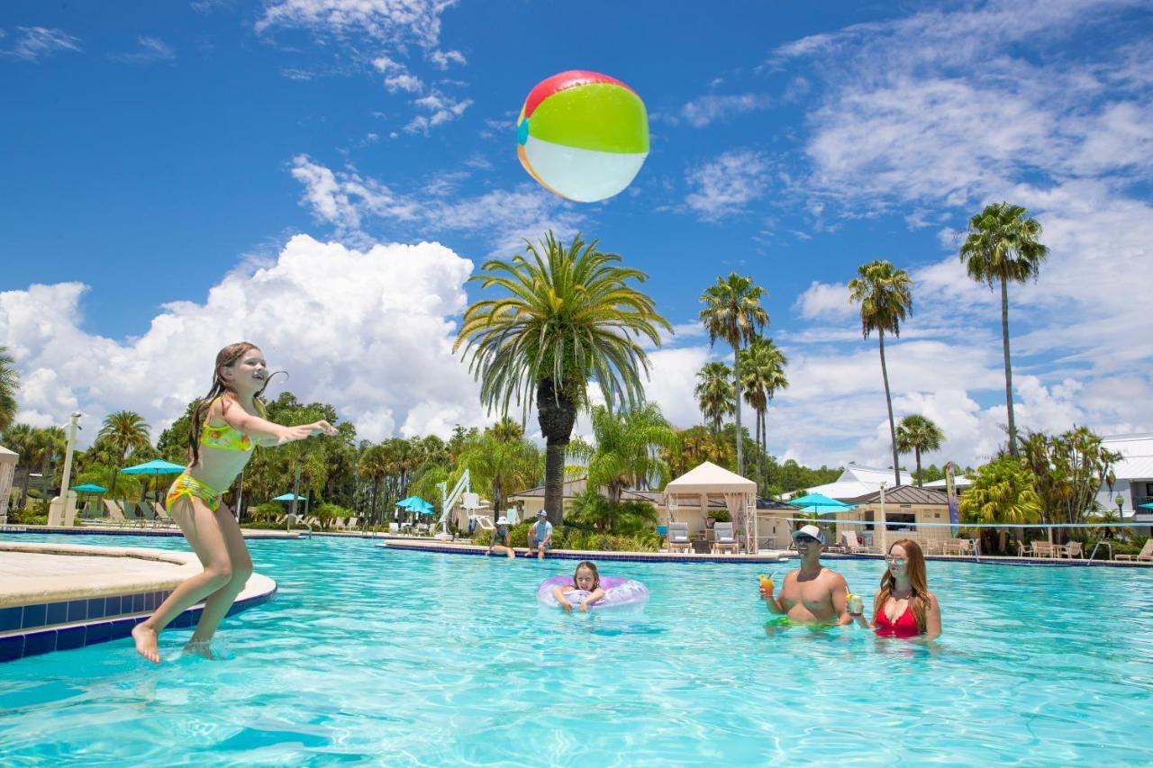 Saddlebrook Golf Resort & Spa Tampa North-Wesley Chapel Eksteriør bilde