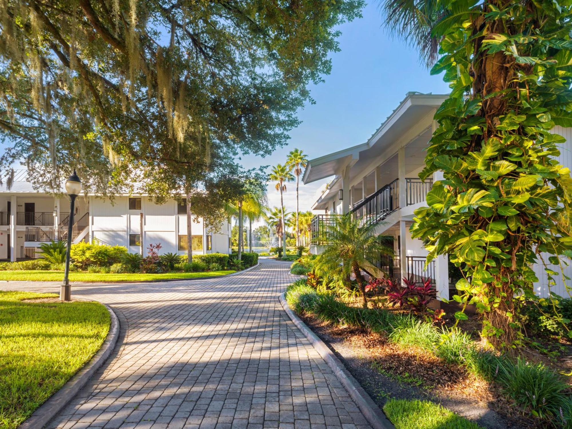 Saddlebrook Golf Resort & Spa Tampa North-Wesley Chapel Eksteriør bilde