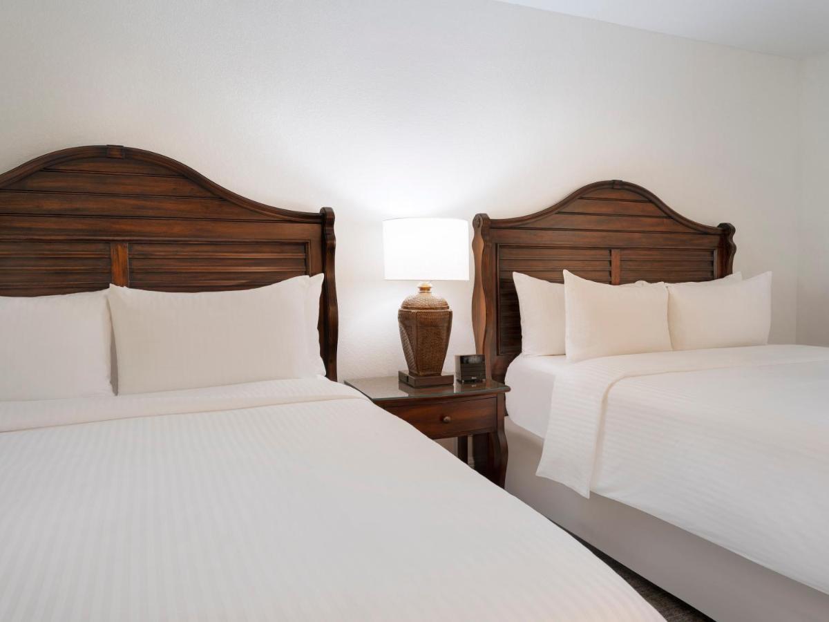 Saddlebrook Golf Resort & Spa Tampa North-Wesley Chapel Eksteriør bilde