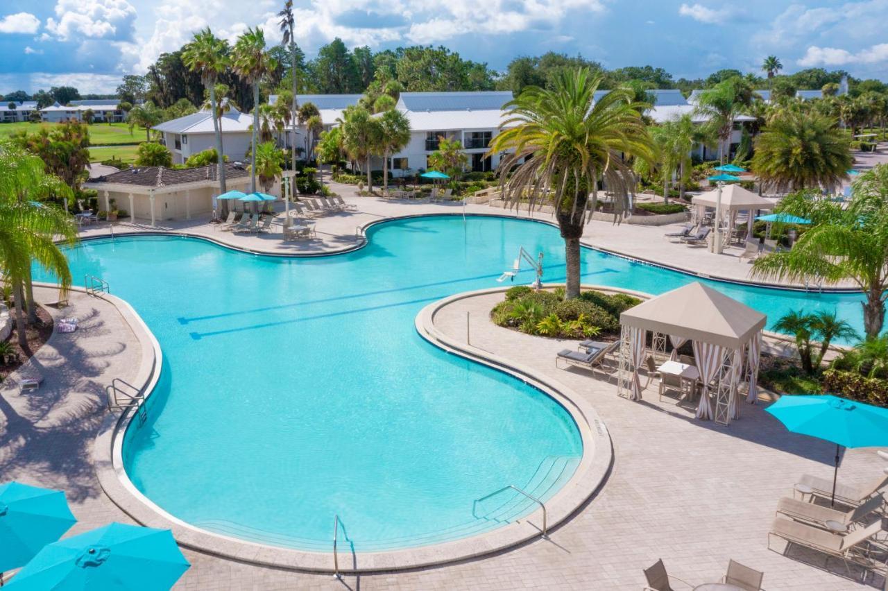Saddlebrook Golf Resort & Spa Tampa North-Wesley Chapel Eksteriør bilde